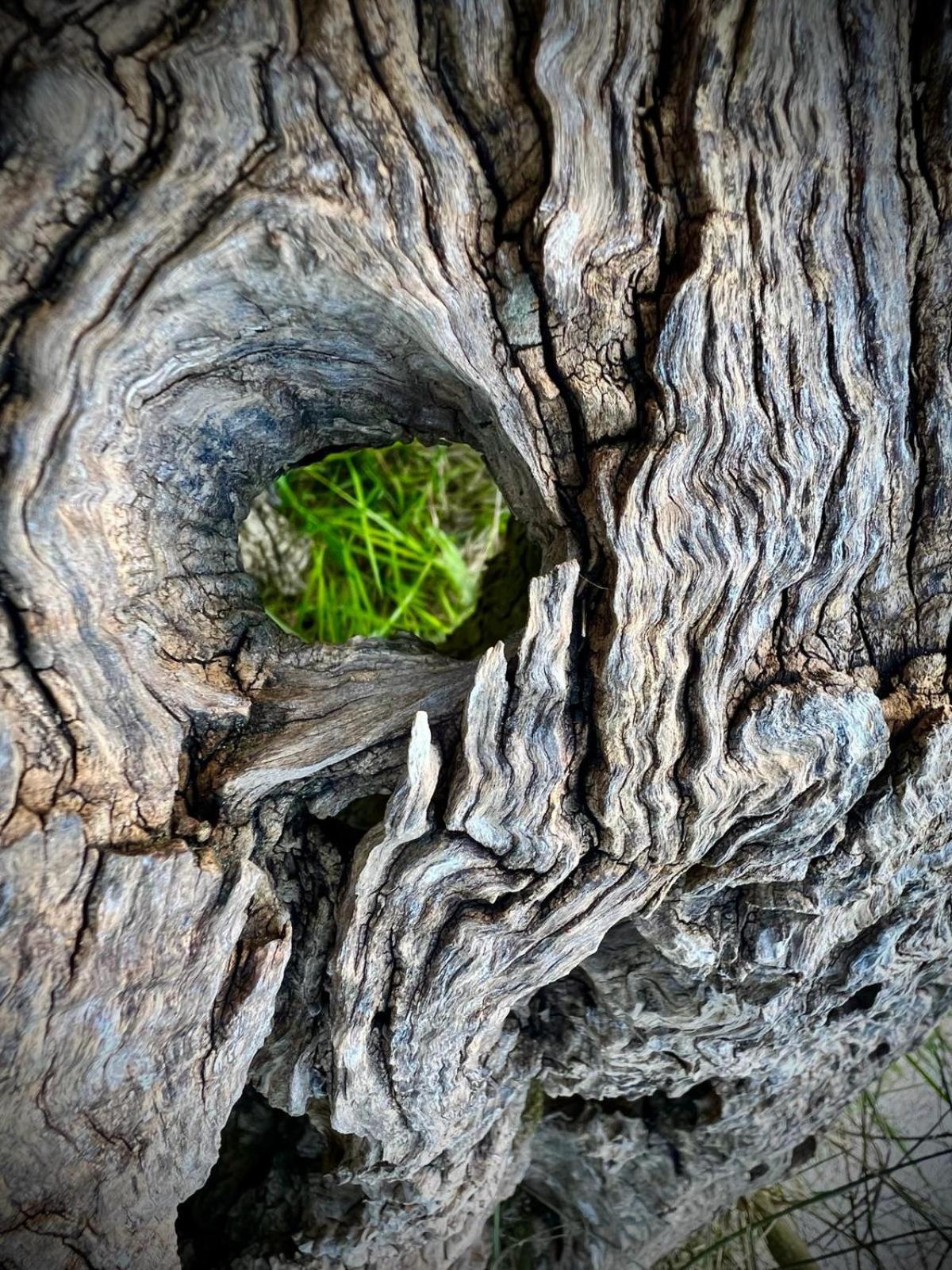 Le Mandrie Di San Paolo Villa Assisi Kültér fotó