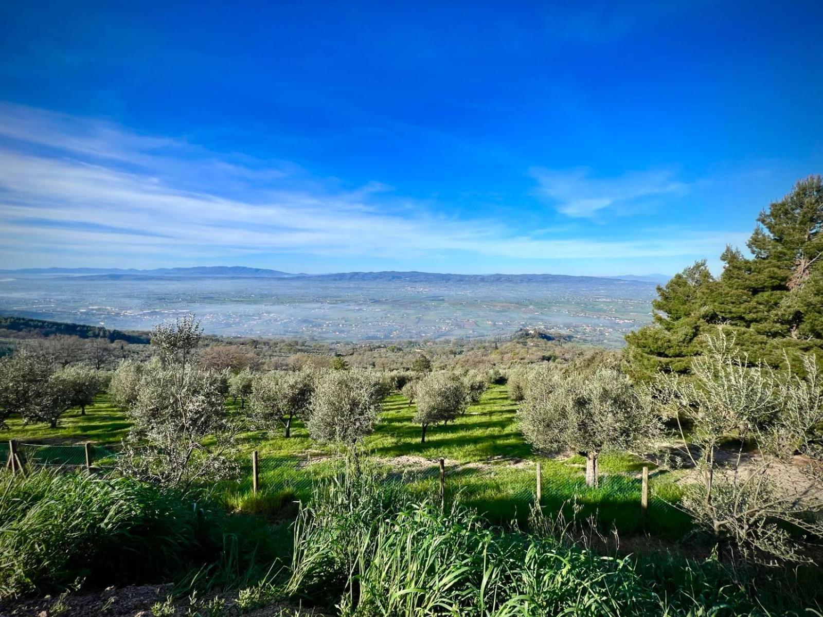 Le Mandrie Di San Paolo Villa Assisi Kültér fotó