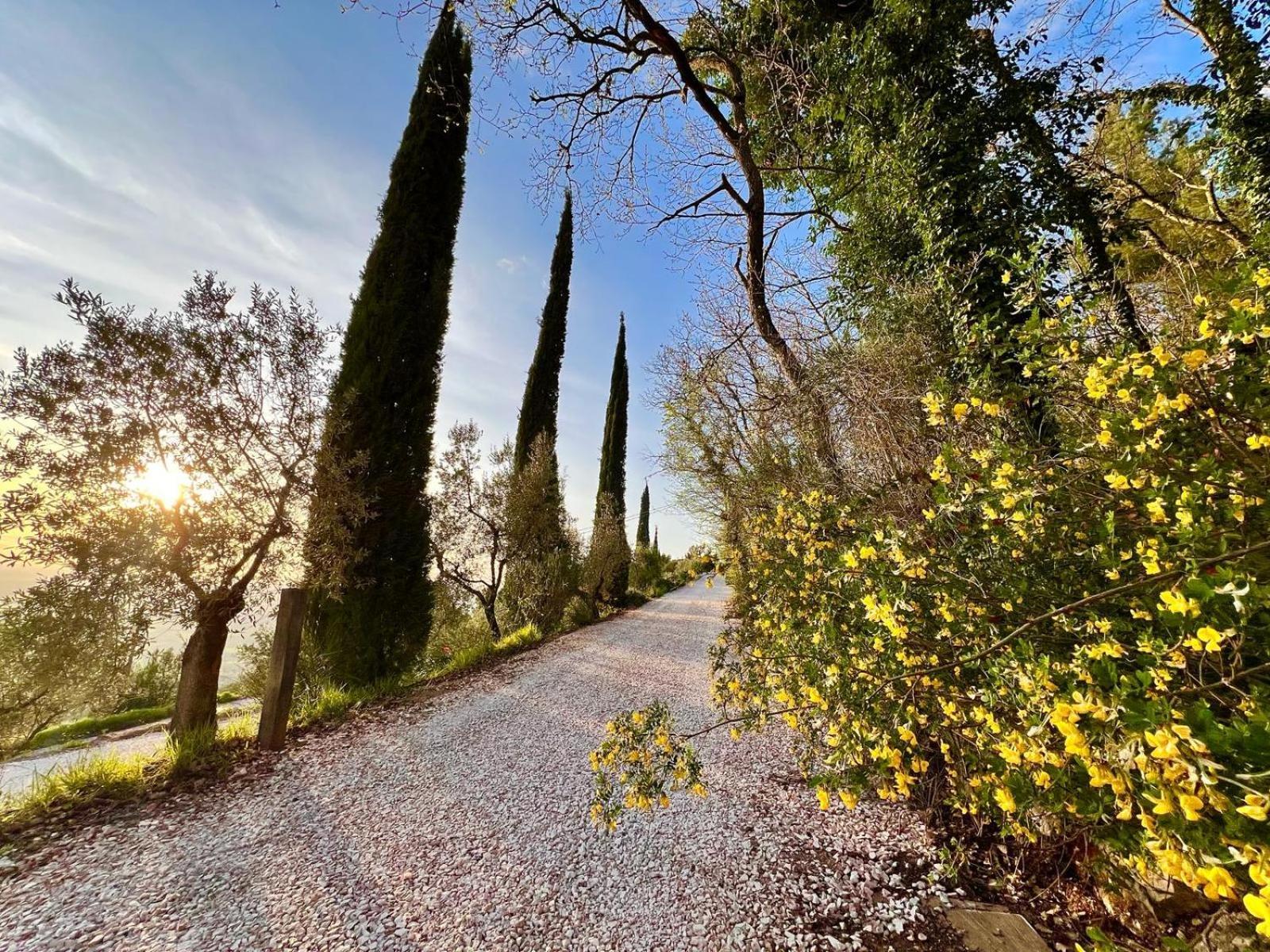 Le Mandrie Di San Paolo Villa Assisi Kültér fotó